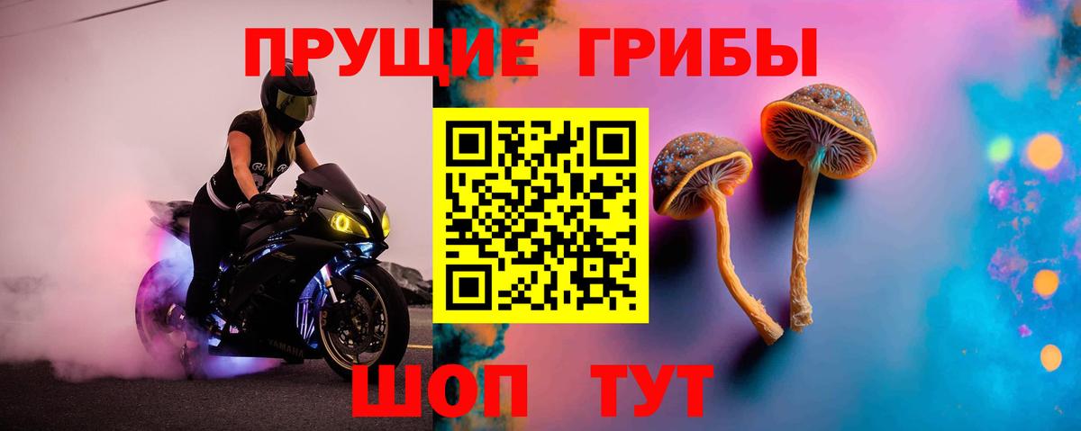 Псилоцибиновые грибы прущие грибы Орск